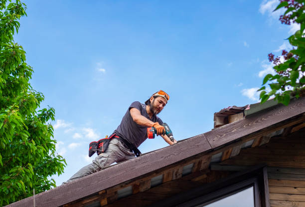 Best Solar Panel Roofing Installation  in Spring, TX